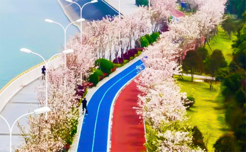 杭州錢(qián)塘江塑膠跑道